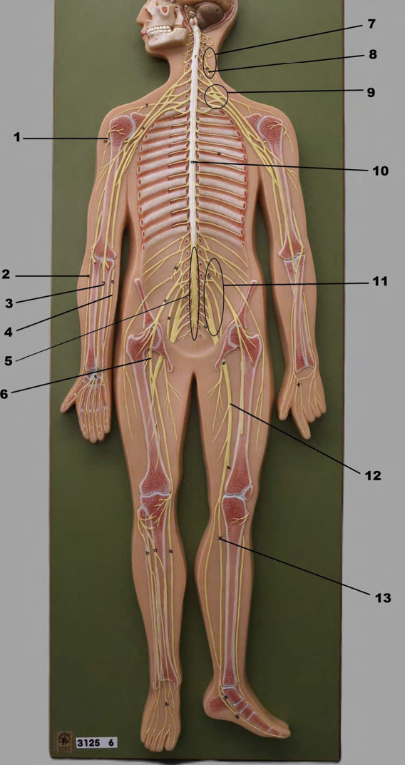 <p>1</p>