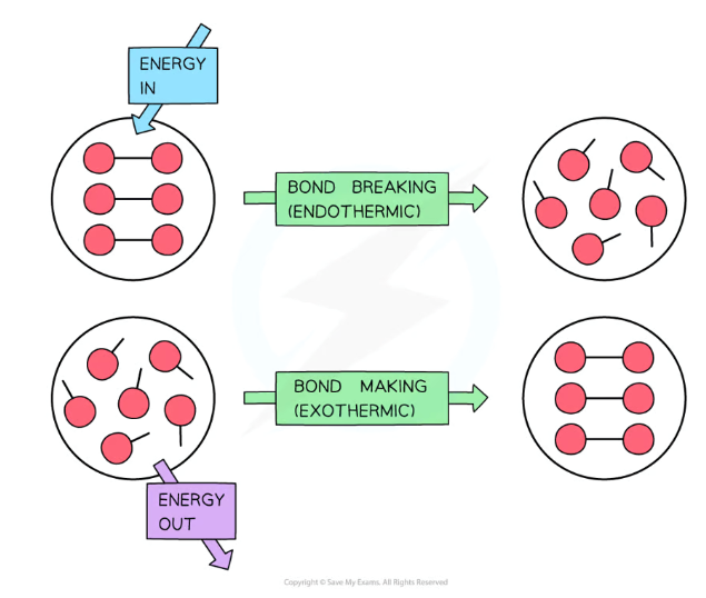 <p>Bond breaking is endothermic, it takes in energy</p><p>Bond making is exothermic, it releases energy</p>