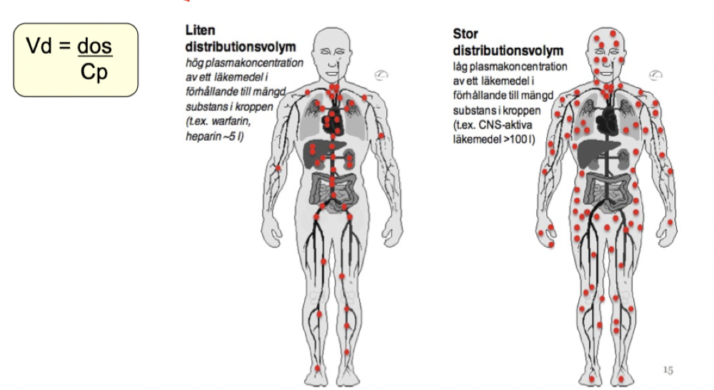 <p>Förhållandet mellan den totala mängden LM i kroppen jämfört med koncentrationen i plasman (blodet) vid SAMMA tidpunkt (enhet: liter eller kg). Vd = dos / plasmakoncentration. </p><p>Vd påverkar halveringstiden. </p>