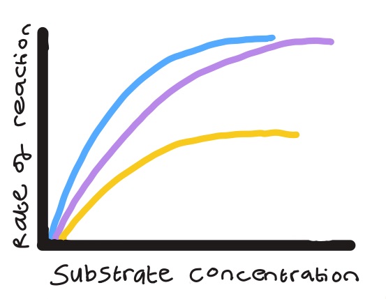 <p>Competitive and non-competitive inhibitors affect ROR in different ways. What does each line on the graph represent?</p>
