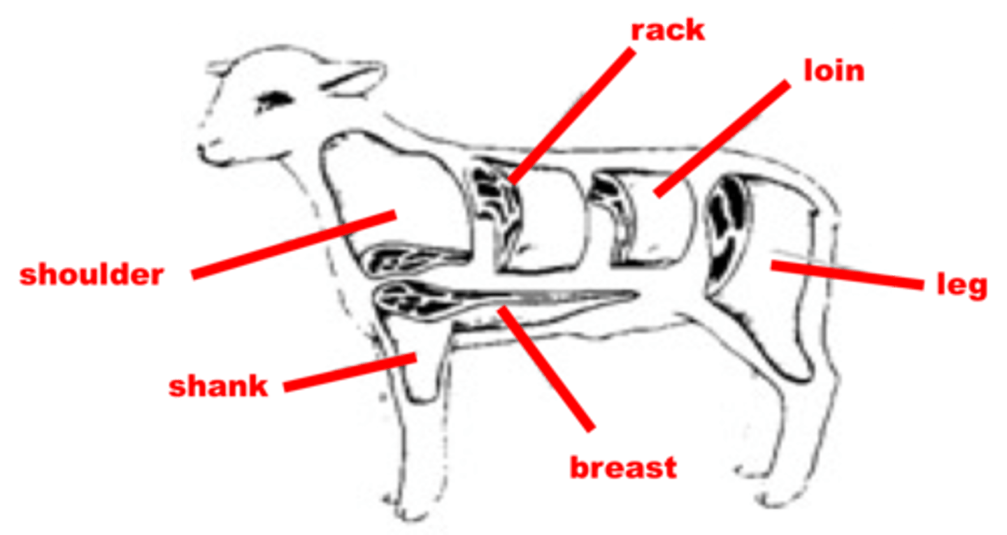 <p>Rack</p>