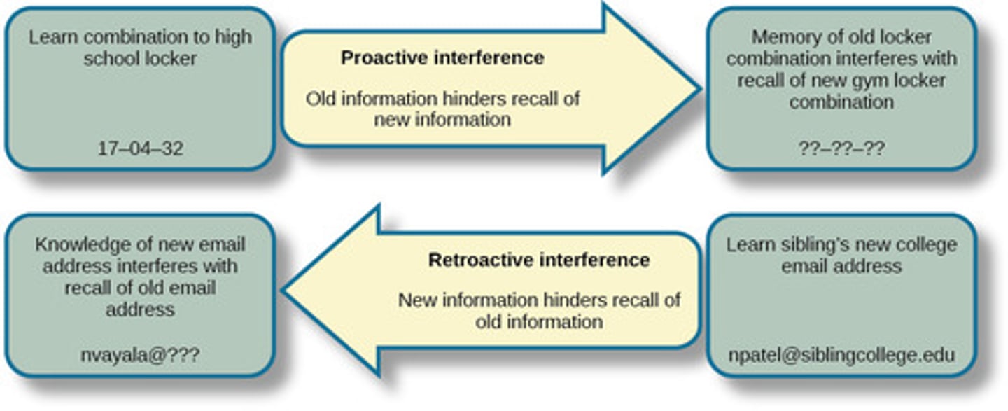 <p>Retroactive interference is when some new piece of information makes it harder to recall previously learned information/memoreis.</p><p>Proactive interference is when something learned in the past interferes with learning or retrieving something learned after.</p>
