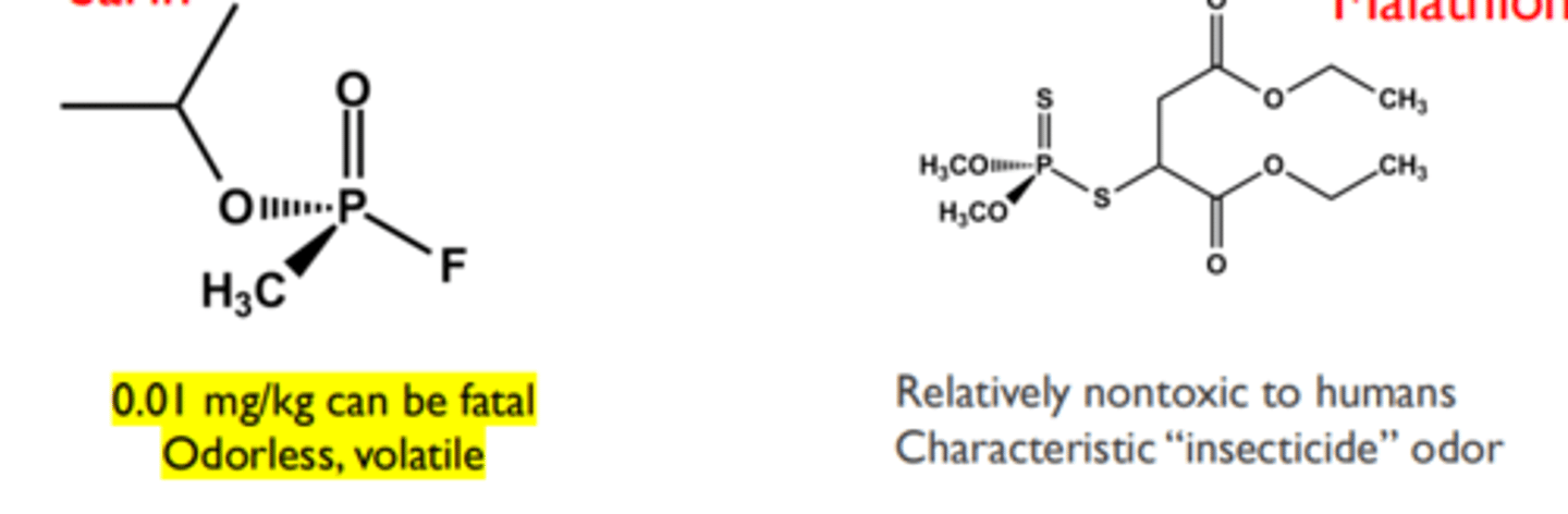 <p>➢ Phosphorylation can be reversed with a more potent nucleophile than water if done quickly (the phosphorus effect)</p><p>➢ The only drug to reverse inhibition is pralidoxime (next slide)</p><p>➢ Obvious military defense interest</p>