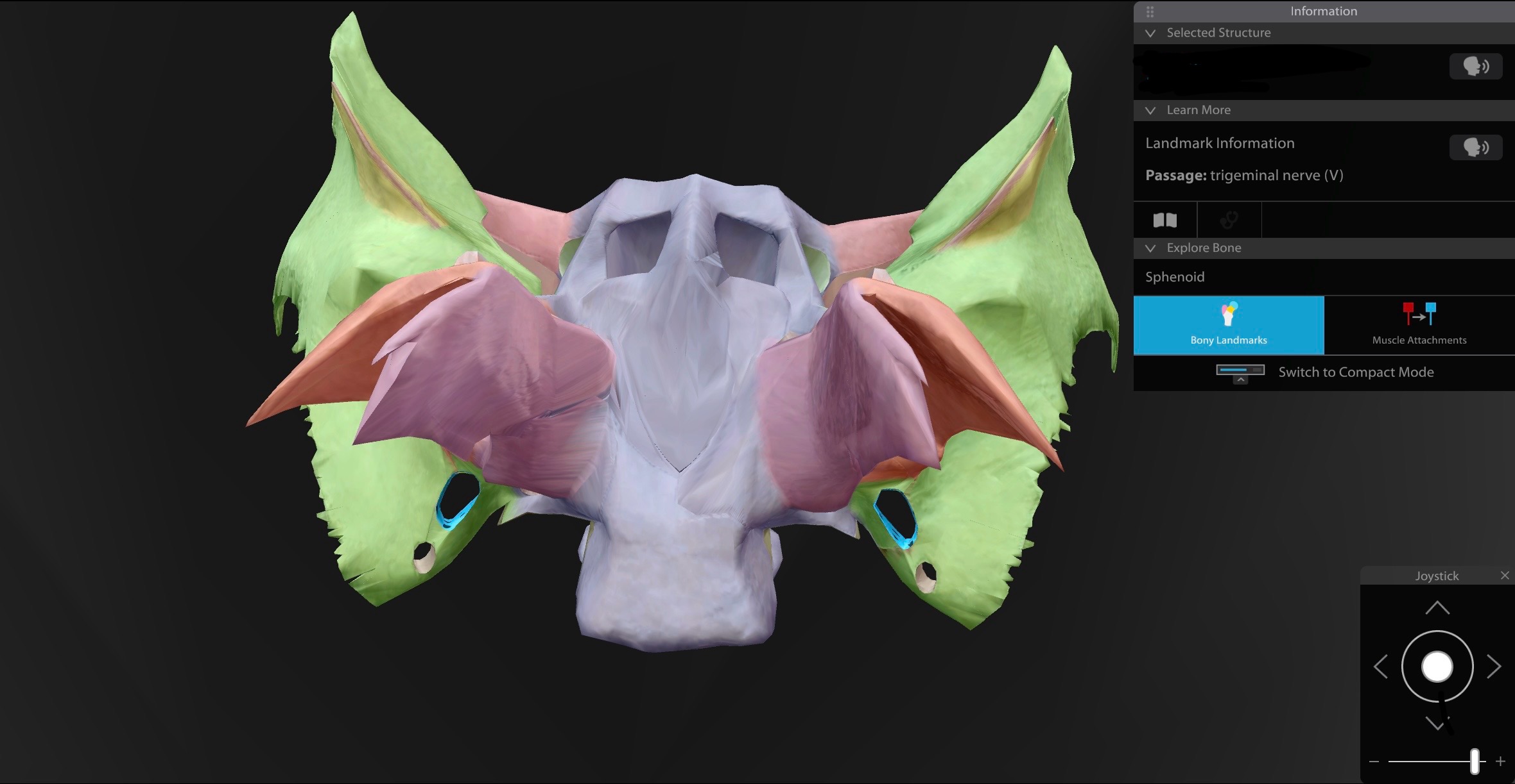 <p>Foramen ovale of the Sphenoid</p>