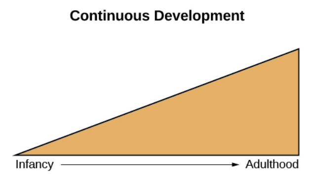<ul><li><p>views development as a cumulative process, gradually improving on existing skills</p></li><li><p>gradual change</p></li></ul><p></p>