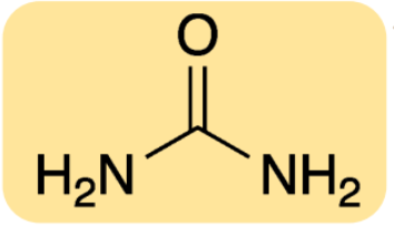<p>How do mammals excrete nitrogen?</p>