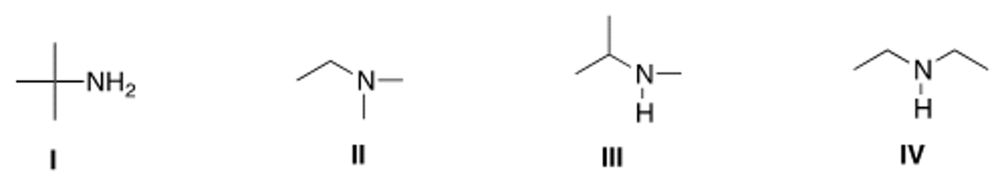 <p>B</p>