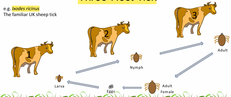 <p>What does this image show?</p>