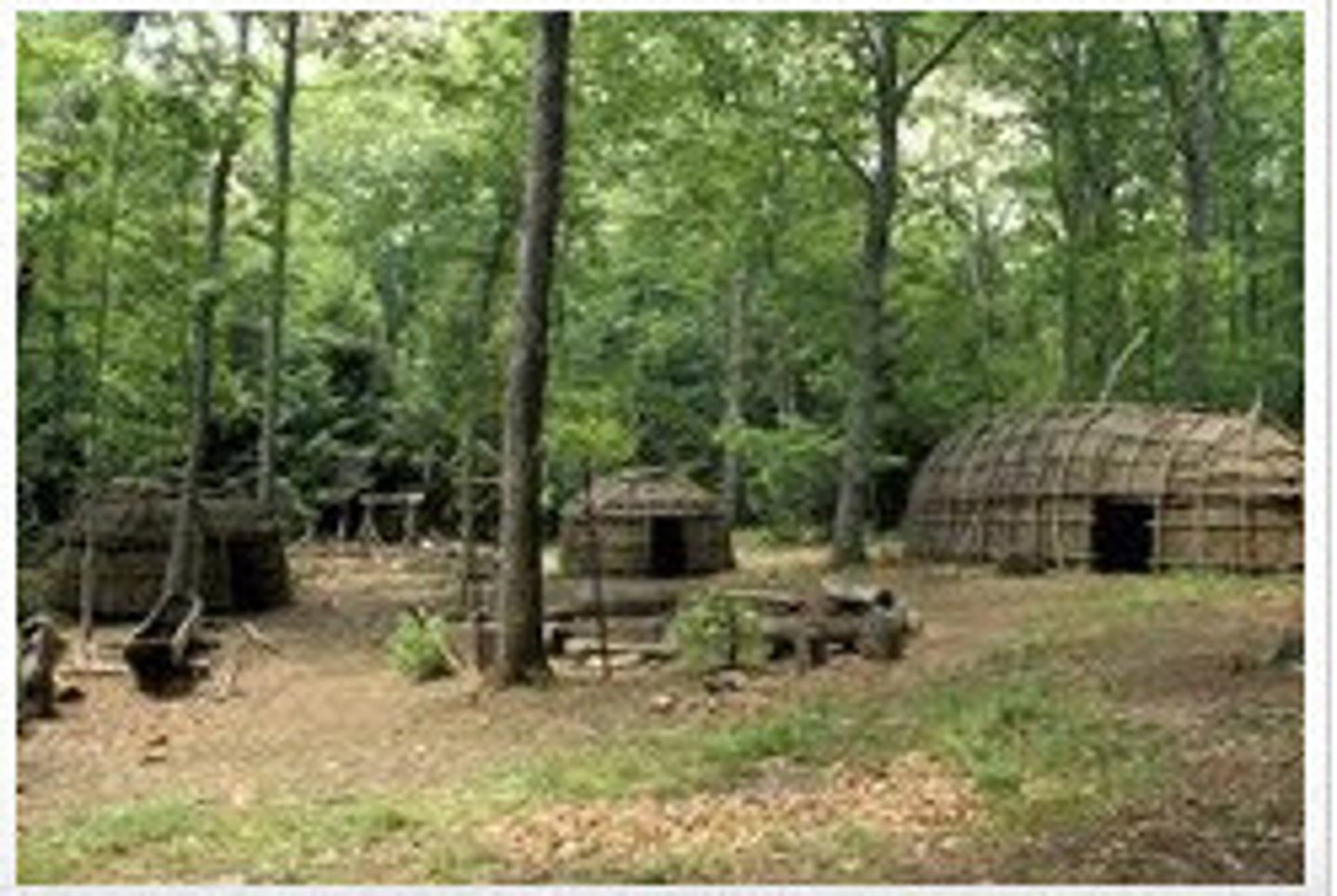 <p>The Virginia Indians used bark, tree branches, and reeds to make their ..., which they called yehakins.</p>