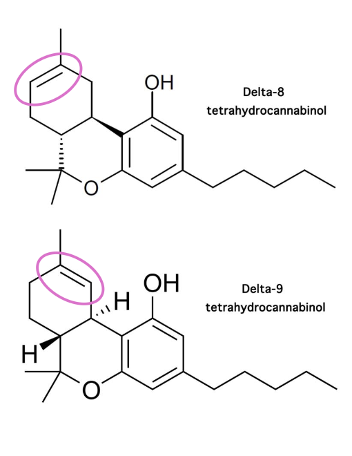 <p><strong>Δ9-trans-TétraHydroCannabinol</strong> (THC)</p><p>Le <strong>Δ8-THC</strong> (un isomère du <strong>Δ9-THC</strong>) est aussi présent dans différentes espèces de cannabis. Le <strong>Δ8-THC</strong> est moins efficace que le <strong>Δ9-THC</strong> pour produire les effets recherchés, mais il a tout de même gagné en popularité dans les dernières années, particulièrement aux États-Unis.</p>