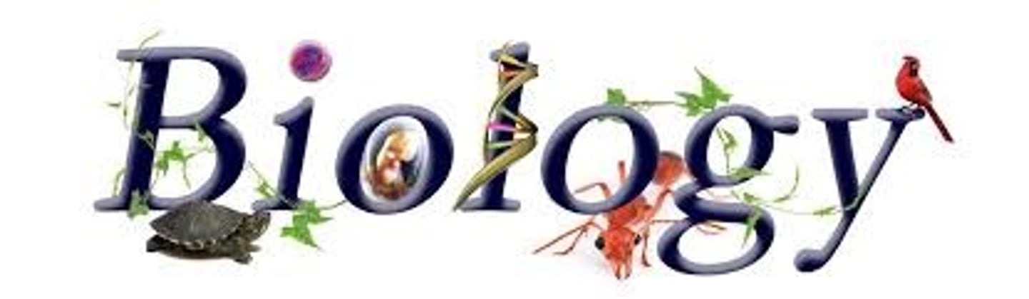 <p>biology</p>