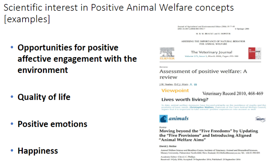 <p><strong>Opportunities for positive affective engagement</strong><br>āAnimals interacting with their <strong>environment</strong> in ways that generate <strong>positive experiences</strong></p><p><strong>Quality of Life</strong><br>āOverall <strong>balance of positive and negative experiences</strong></p><p><strong>Positive Emotions</strong><br>āExamples include <strong>pleasure, contentment, curiosity, social bonding</strong></p><p><strong>Happiness</strong><br>āFocus on an animalās <strong>well-being and positive affective states</strong></p>