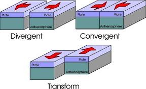 <p>the edges of tectonic plates</p>