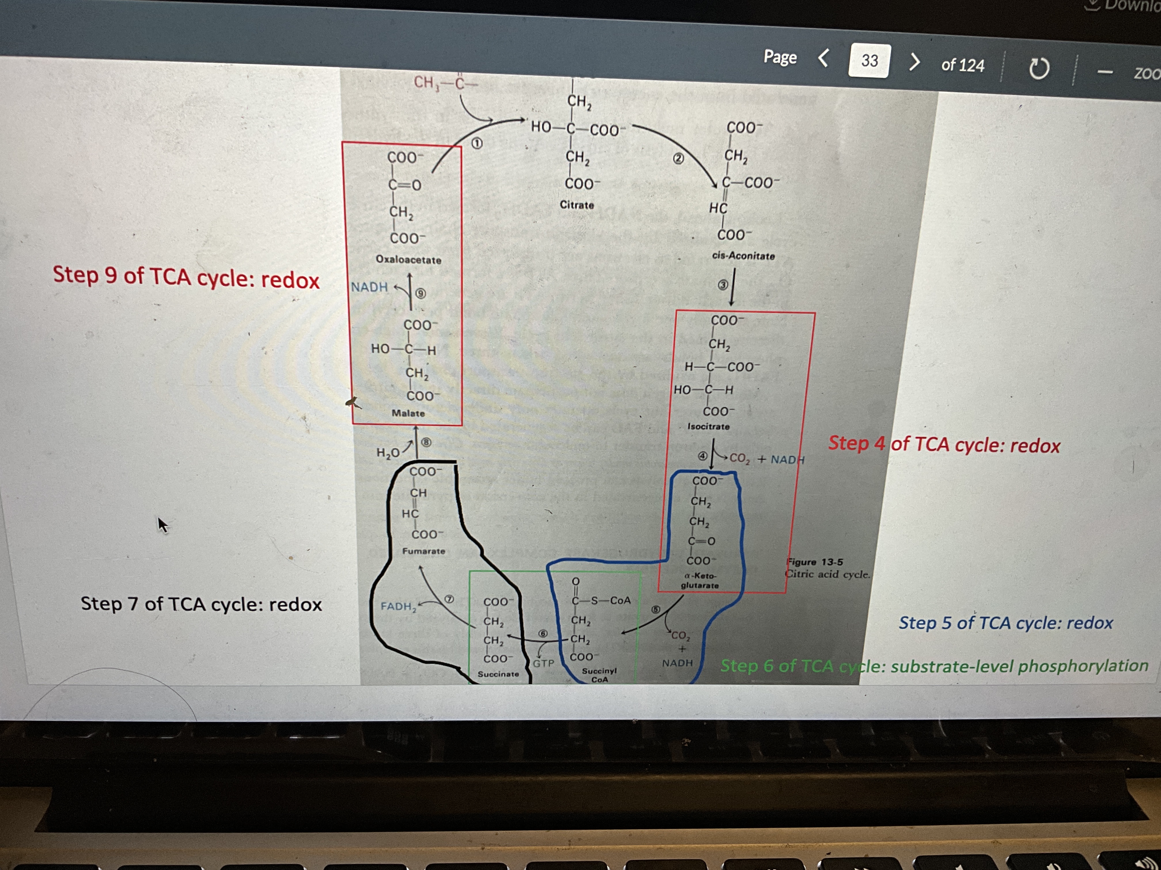 * enzyme is rubisco
* CO2 fixation
* Produce NADPH
* CO2 is fixed in the environment
* Use products of Light dependent reactions