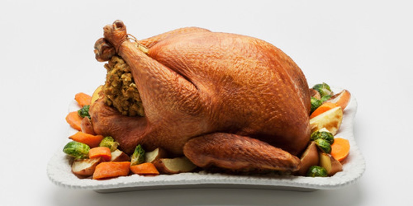 <p>turkey</p>