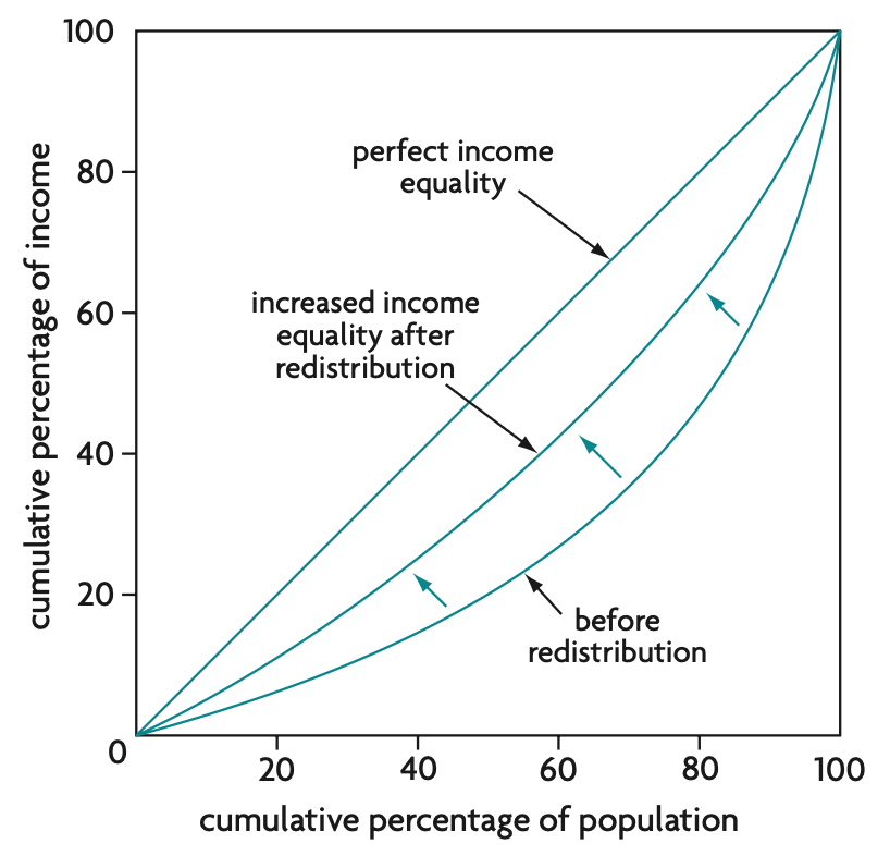 shows the degree of income inequality in an economy