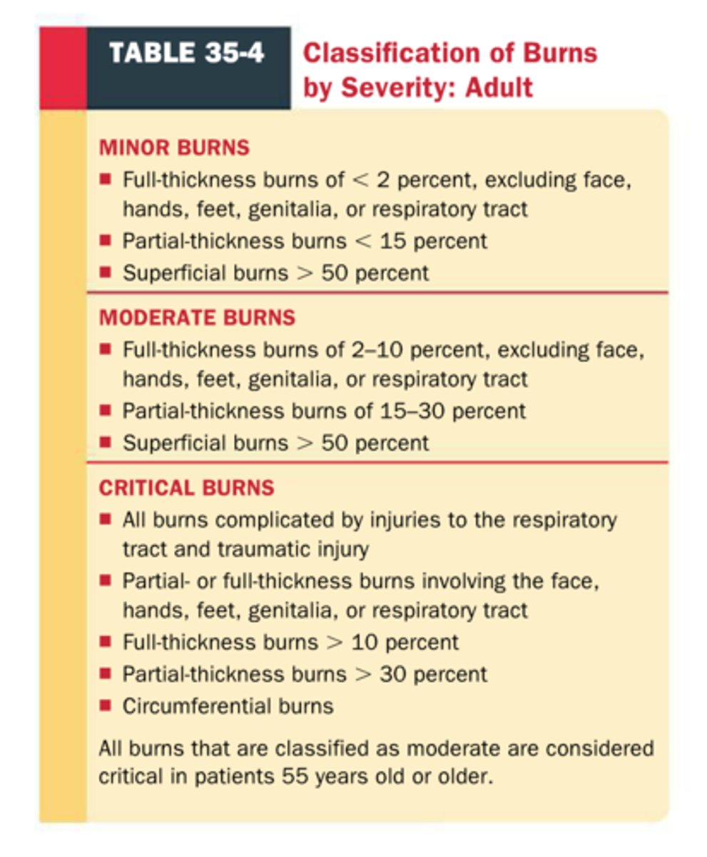 <p>Superficial (1st degree)</p><p>-only epidermis</p><p>-erythema, slight edema, tenderness &amp; no blistering</p><p>-Some peeling over 2-5 days</p><p>Superficial partial thickness (2nd degree)</p><p>-damage to upper layers of dermis and epidermis]</p><p>-blisters, inflammation severe pain</p><p>-can heal on own</p><p>-7-10 days of healing</p><p>Deep partial thickness (2nd degree)</p><p>-most of dermis and injury to hair follicles, nerve endings and sweat glands</p><p>-red or white appearance, edema , blistering, and severe pain</p><p>-pain due to not all nerve endings destroyed</p><p>-healing 3-5 weeks (hypertrophic and keloid scarring common)</p><p>Full thickness (3rd degree)</p><p>-destruction of epi, dermis and subcut tissue with some muscle involvement</p><p>-tissue is white, gray or black with dry surface, edema, eschar formation and insensate or little pain</p><p>-nerves endings destroyed</p><p>-Surgical removal of eschar (escharotomy) and skin graft necessary for healing</p><p>-infection and hypertrophic scarring</p><p>-keloid scarring</p><p>Subdermal (4th degree)</p><p>-complete skin destruction and involves muscle and bone</p><p>-Skin charred, dray and mummified</p><p>-destruction of vascular system may lead to tissue necrosis</p><p>-Caused by prolonged flame or hot liquid or from electrical burn</p><p>-Amputation and muscle paralysis common</p>