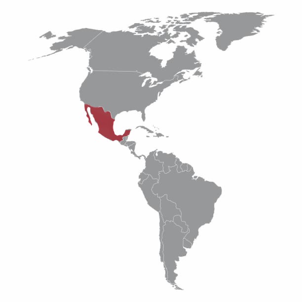 <p>Country highlighted in picture? </p>