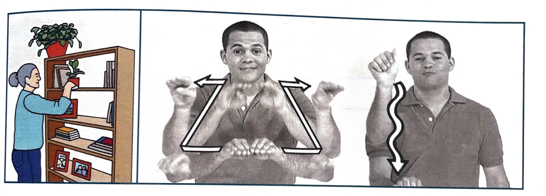 knowt flashcard image