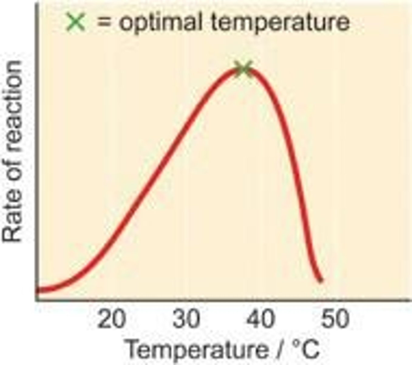 <p>If temperatures are too high, the enzyme shape changes, preventing it from functioning. If temperatures are too low, the enzyme has not got enough kinetic (movement) energy to collide with the substrates as often and therefore action is reduced.</p>