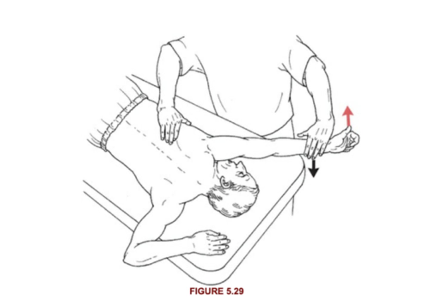<p>5: holds against strong resistance at forearm</p><p>4: Holds against strong resistance at distal humerus or light at forearm</p>