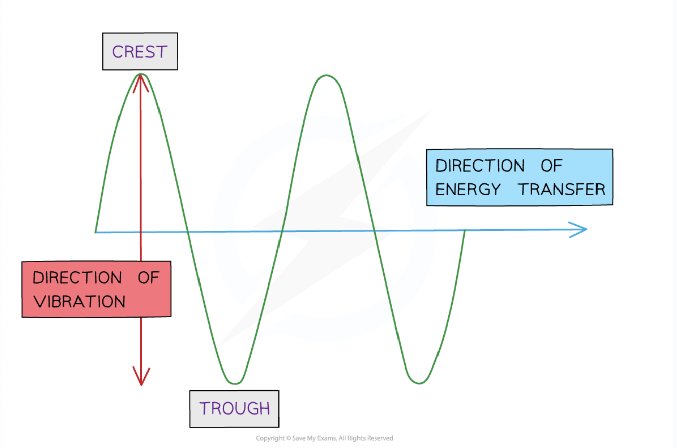 <ul><li><p><span>Transverse waves are drawn as a single continuous line, usually with a central line showing the undisturbed position</span></p></li><li><p><span>The curves are drawn so that they are perpendicular to the direction of energy transfer</span></p></li></ul><p></p>