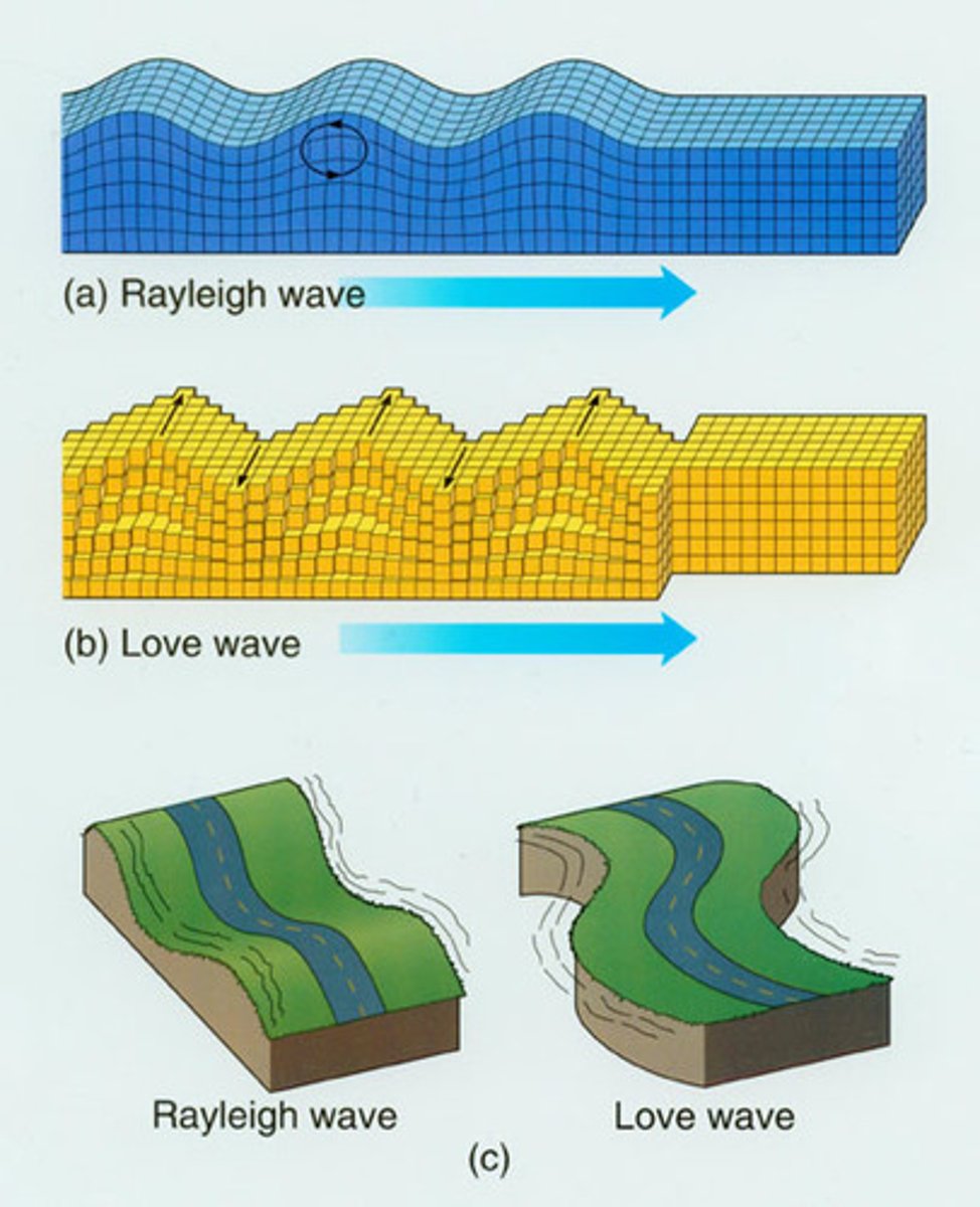 <p>L-waves & R-waves</p>