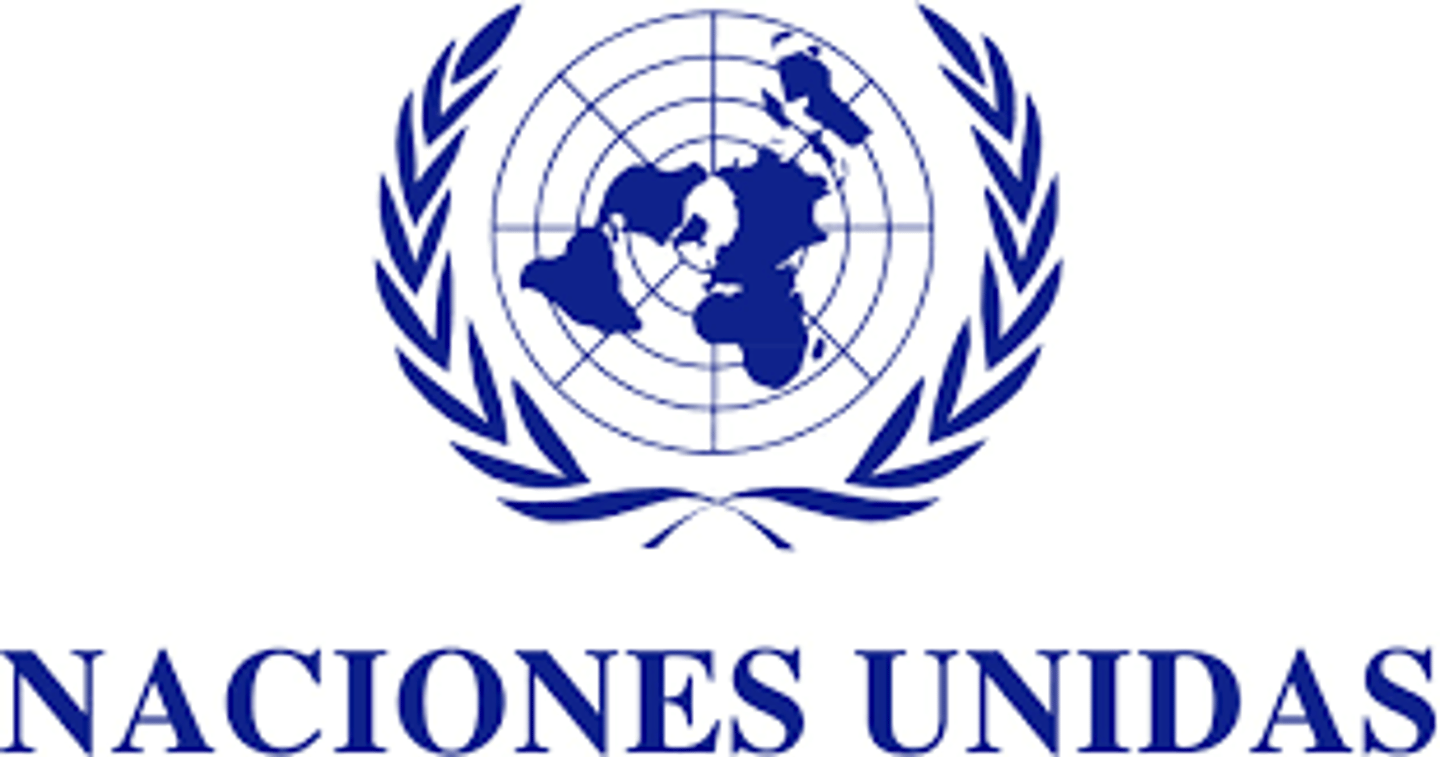 <p>UN (United Nations)</p>
