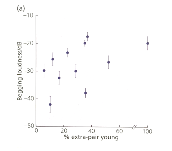 <p>Chicks are more selfish </p><ul><li><p>Louder begging</p></li></ul><p>As % of extra-pair mating increases</p><p></p><p></p>