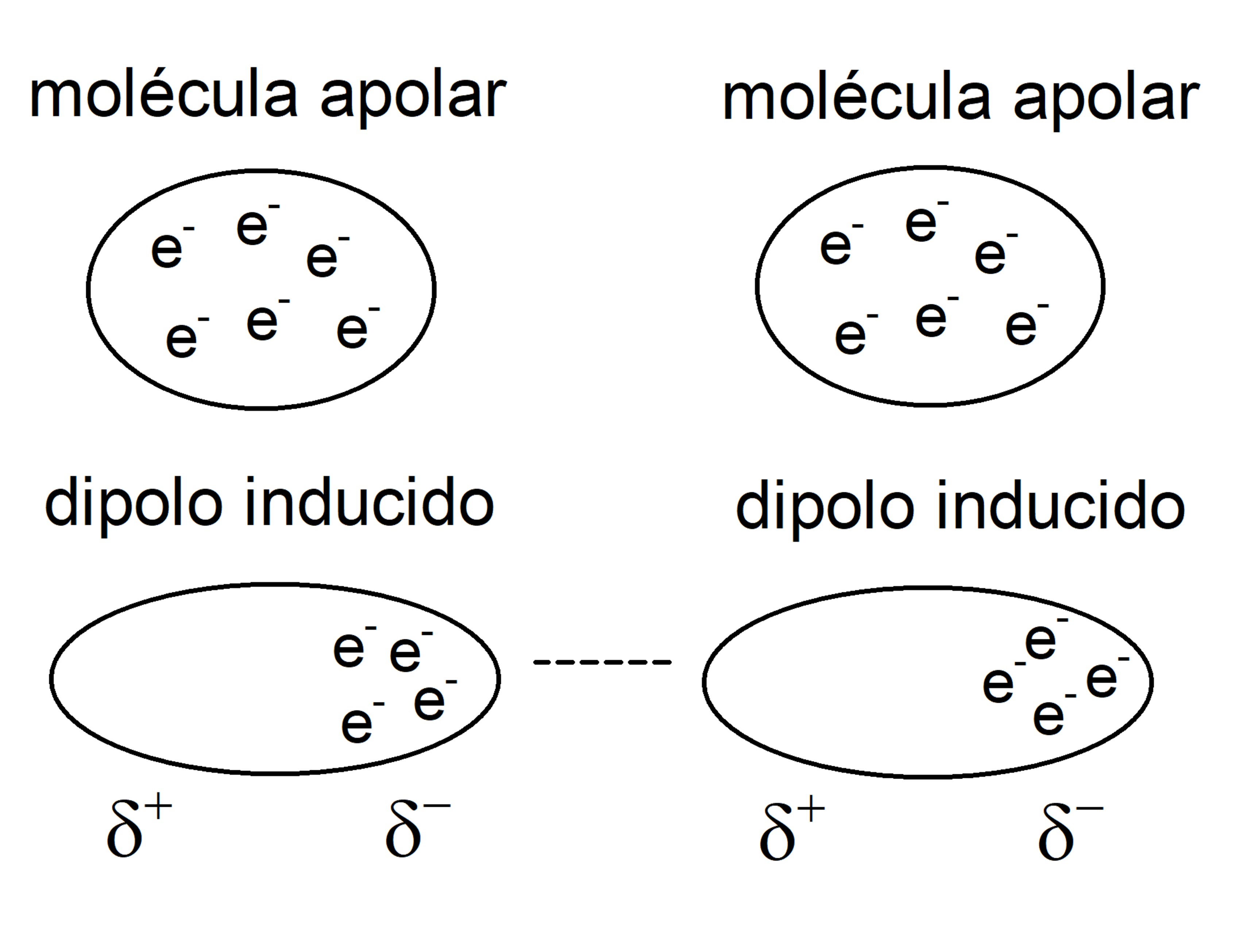 <p>Entre moléculas no polares.</p><p>Explica porque es posible que los gases nobles pueden existir en estado líquido, como el nitrógeno líquido. Sin embargo ocurre muy pocas veces y en condiciones extremas.</p>