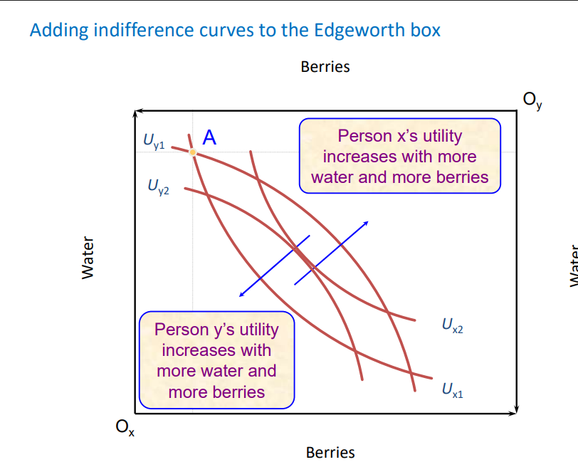 <p>shows every possible outcome from trade between x and y to show how resources can be allocated</p><p>draw in the indifference curves for each remembering that further away from origin the higher the utility</p><p></p>