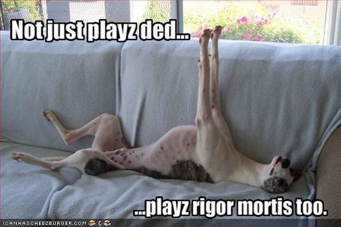 <p>the condition in which skeletal muscles partially contract and become rigid after death</p>