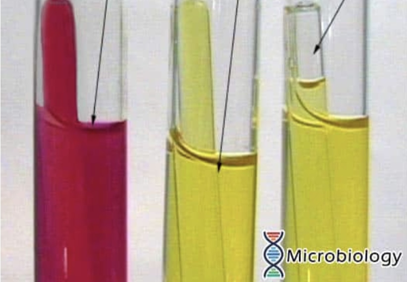 <p>What test is this?</p>