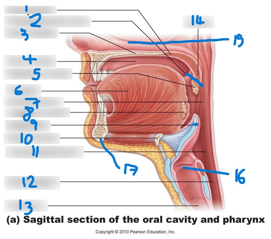 <p>2</p>