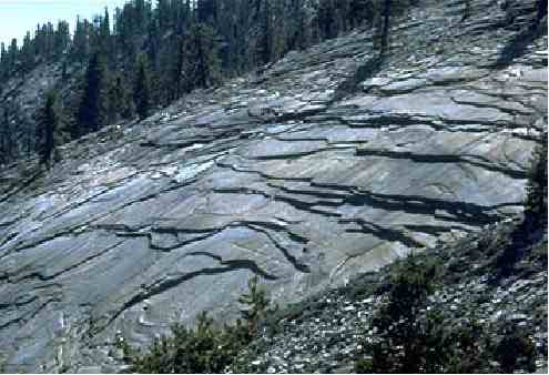 <p>Exfoliation joint</p>