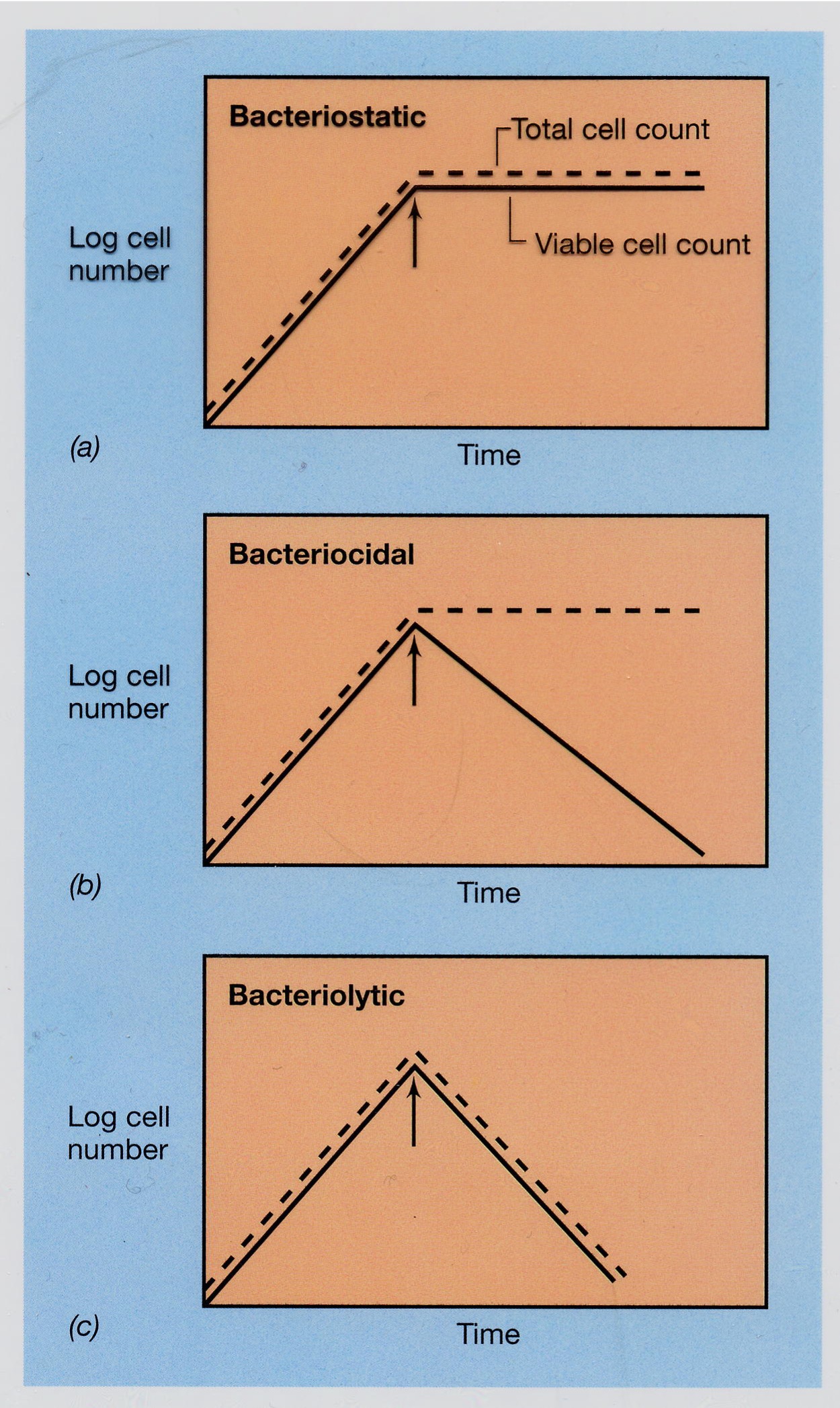 <p>S<mark data-color="rgba(0, 0, 0, 0)" style="background-color: rgba(0, 0, 0, 0); color: inherit;">ubstances that kill or inhibit the growth of microorganisms (bacteria, viruses, fungi, parasites), acting through mechanisms like disrupting cell membranes, DNA inhibition, or protein denaturation</mark><span><span>. Common types include alcohol (70% ethanol/isopropanol), phenolic compounds (triclosan, hexachlorophene), halogen-releasing agents (chlorine bleach, iodine), heavy metals (silver, copper), and soaps/quaternary ammonium compounds.&nbsp;Arrows show when the antimicrobial agent was added during the exponential growth of the bacterial culture.</span></span></p>