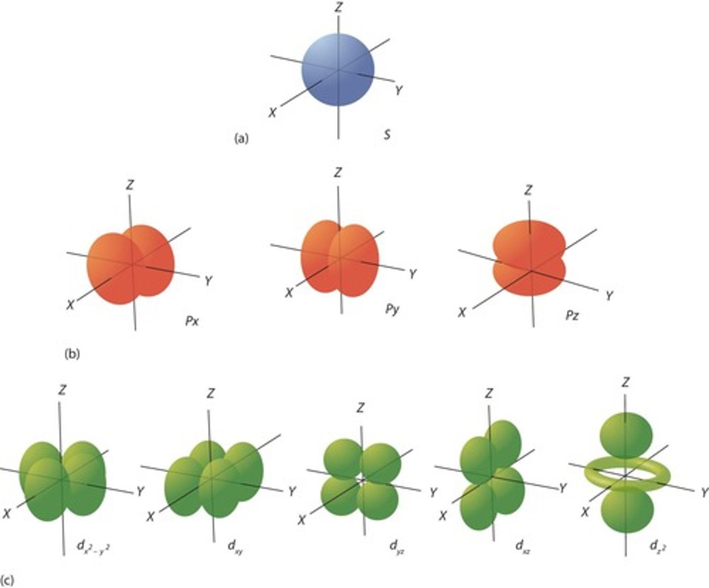 <p>1x S orbital and 3x P orbitals, totaling 4 orbitals.</p>
