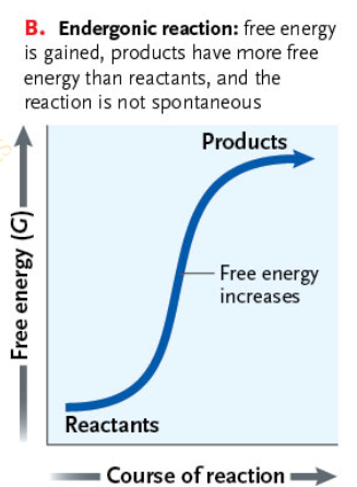<p>Reactants must gain free energy from the surroundings to form the products</p><p>ΔG is positive because the products contain more free energy than the reactants</p>