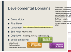 <p>An area of development such as fine and gross motor skills, cognitive abilities, self-help capabilities, and social and communication skills.</p>