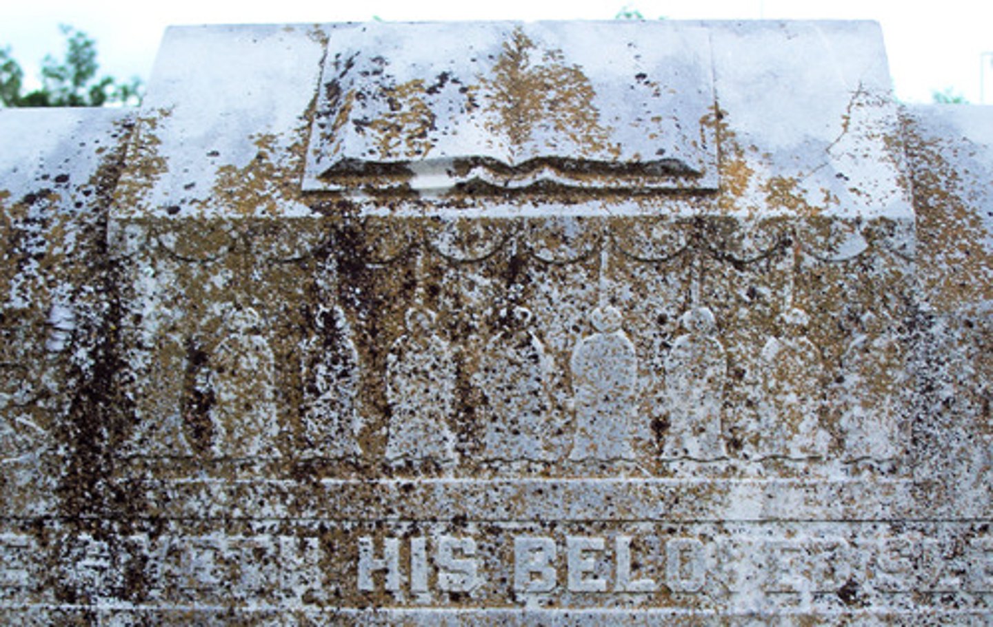 <p>rocks broken down through chemical changes (changing the material)</p>