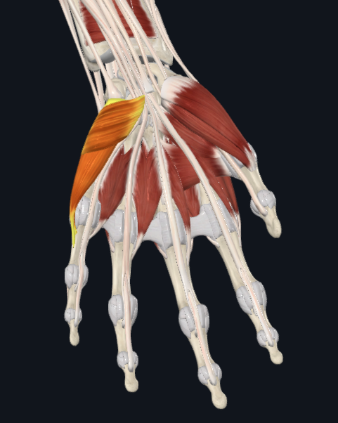 <p>What is this</p>