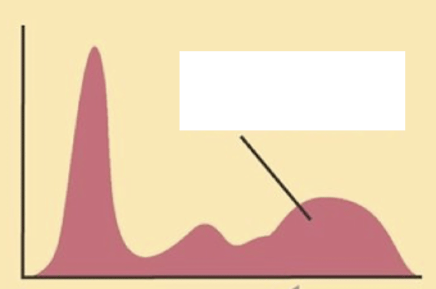 <p>Describe the serum electrophoresis</p>