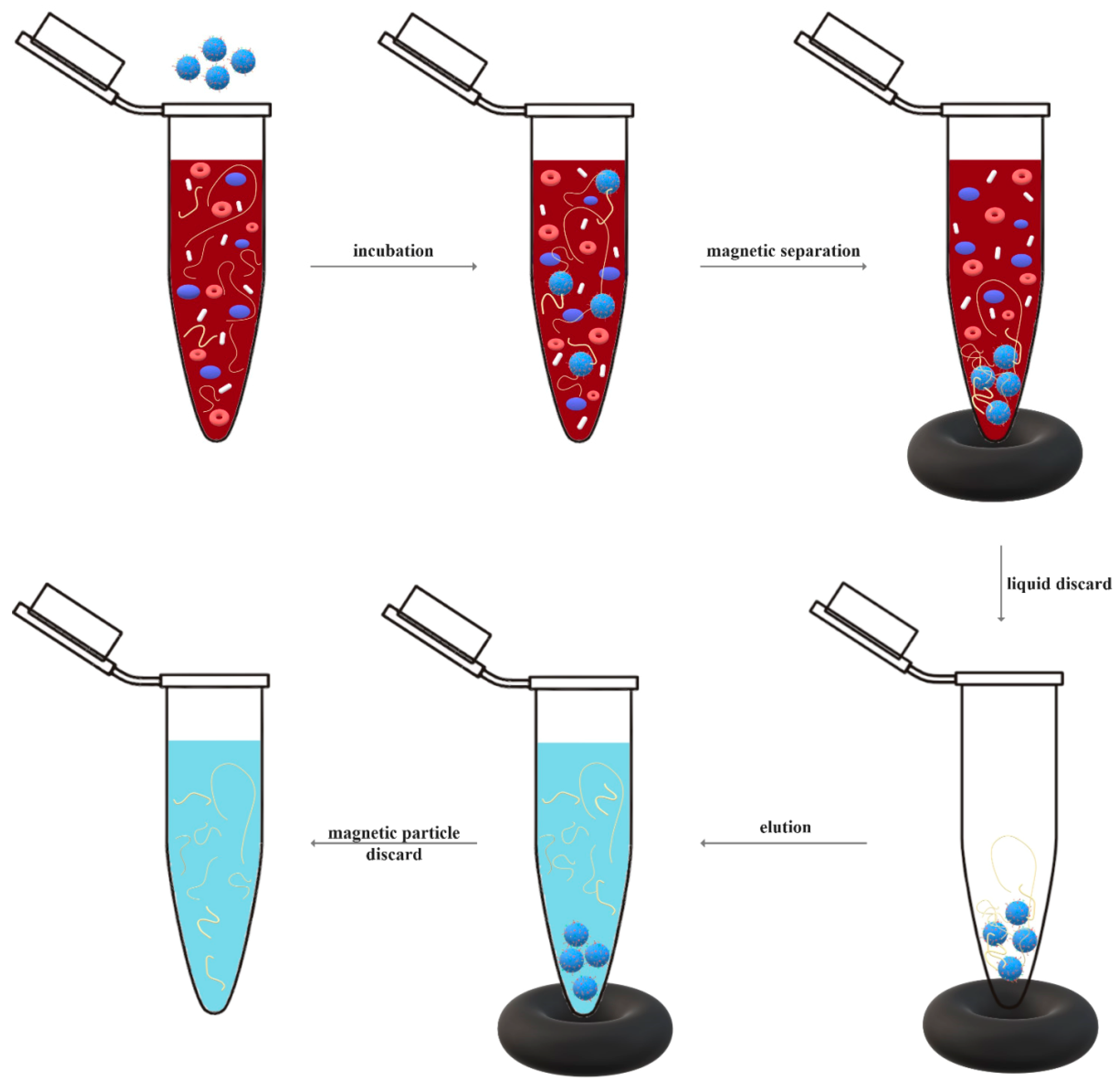 <p>Encapsulation:</p><p>Magnetic Glass Particle (<span style="color: rgb(8, 196, 236);"><span>MGP</span></span>) - Preparation (3 Steps)</p>