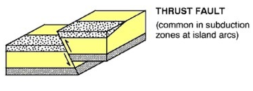 <p>Vertical movement</p>