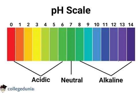 <p>What is the pH scale?</p>