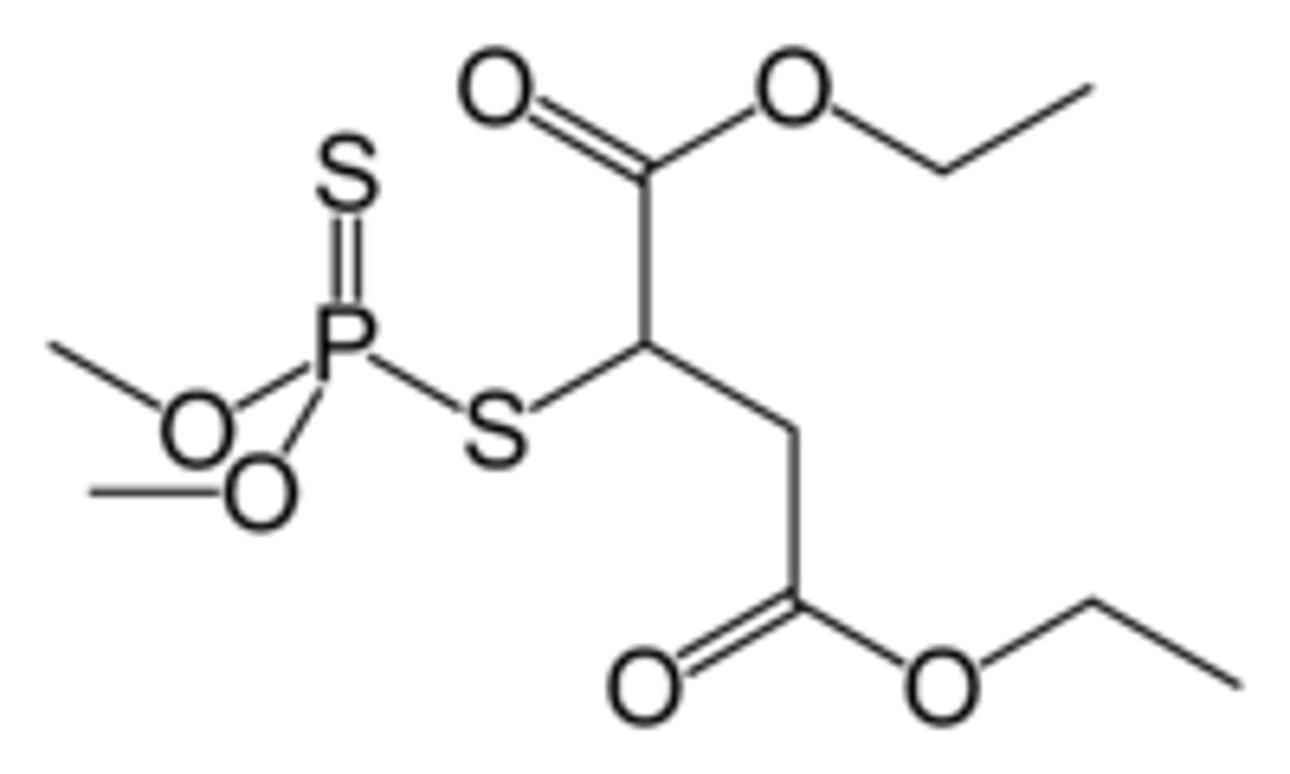 <p>organophosphate that irreversibly inhibits cholinesterase</p>