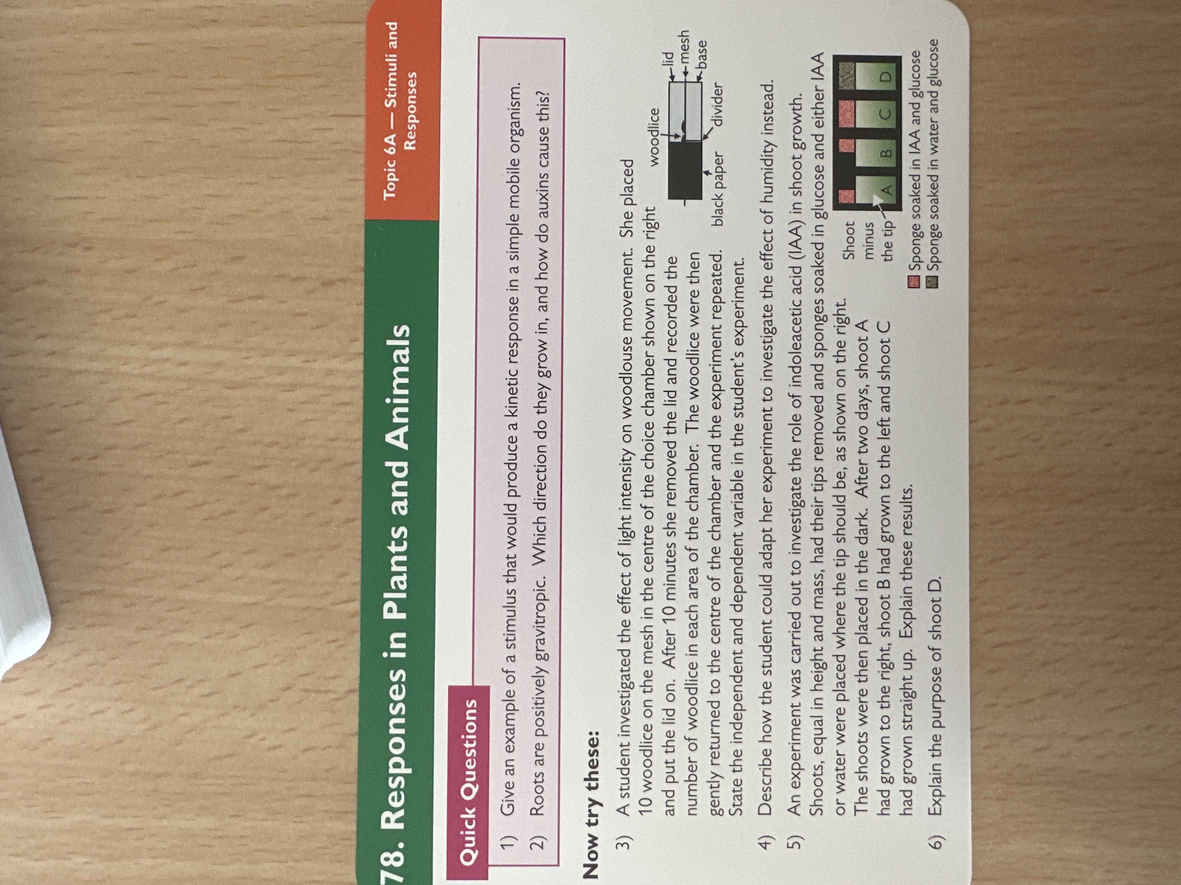 Responses in plants and animals 