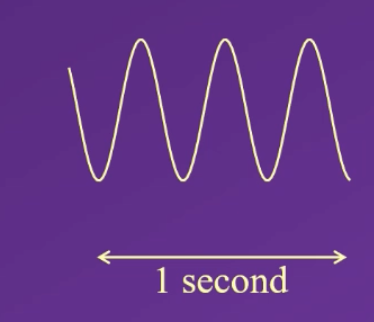 <p>how many hertz (Hz) can be calculated from this image?</p>