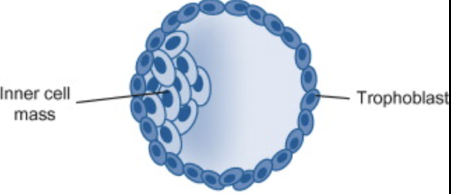 <p>What is the following? </p>