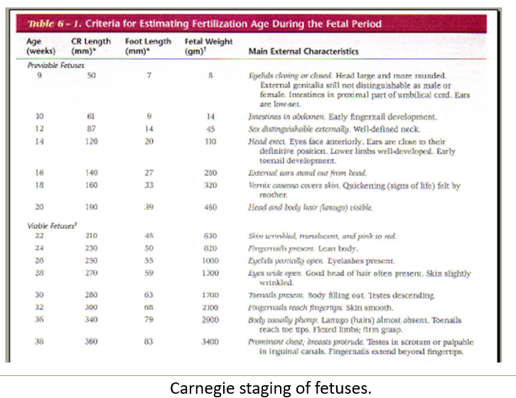 <p>Does <strong>neonatal length</strong> and<strong> weigh</strong>t always correlate with gestational age?</p>